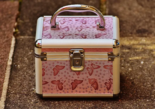 LV sunglass case