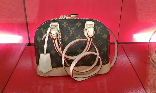 LV Handbag